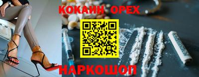 гашик Будённовск