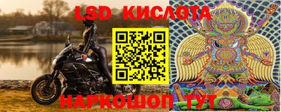 гашик Будённовск