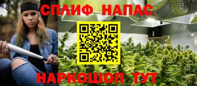 гашик Будённовск