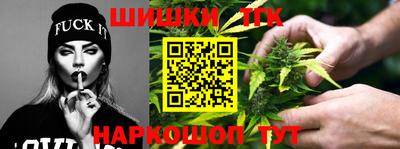 гашик Будённовск